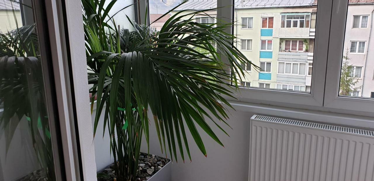 The View Apartment Sibiu Ngoại thất bức ảnh